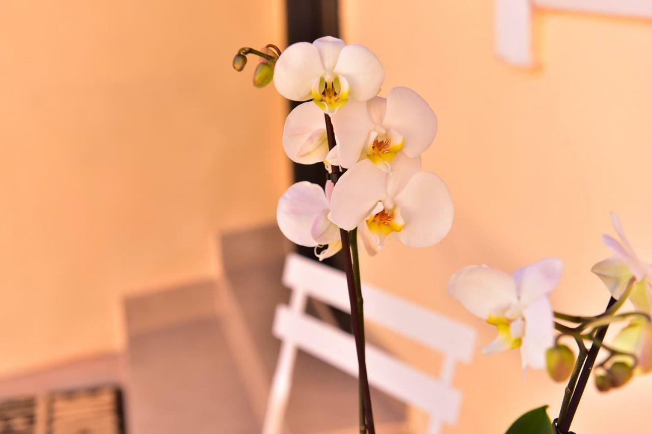 Casa Soare - Ultracentral Guesthouse Sibiu Dış mekan fotoğraf